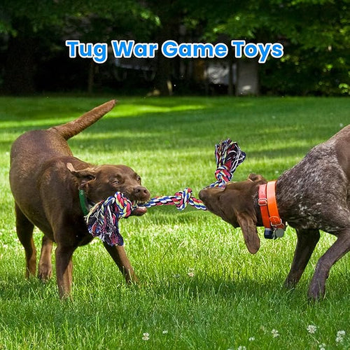 Feeko Heavy Duty Dog Rope Toys for Large Breed Aggressive Chewers, 2 Pack Indestructible Teeth Cleaning Tug of War Toy